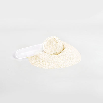 A white plastic scoop sits on a pile of fine, light beige powder against a white background. The scoop is partially filled with the smooth 111 & Company Hydration Powder (Lemonade), providing essential electrolytes for effective keto-friendly hydration.