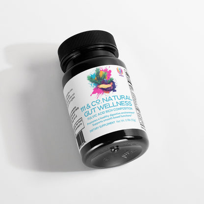 A black bottle of 111 & Company Gut Wellness Powder from 111 & Company sits on a white surface, featuring colorful abstract art and text promoting the gut microbiome benefits of fulvic acid composite. The label emphasizes its role in supporting digestive health and a healthy gut environment.