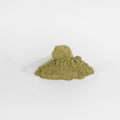 A small scoop with a transparent handle sits atop a mound of fine, light brown powder, 111 & COMPANY GREENS SUPERFOOD by Retro Fitness Supplements. Resting on a plain white background, this setup highlights the texture and color of this nutrient-rich supplement.